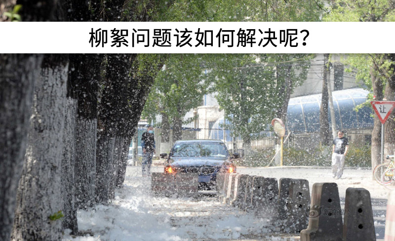 遇到“柳絮”不慌!這樣做，節(jié)能維修費(fèi)用